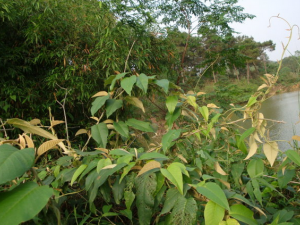 �׻������ٵĹ�Ч������