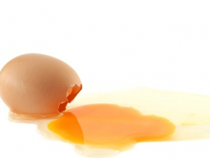 ����ʪ��ƫ�� ��ʳ�ľͿ�������