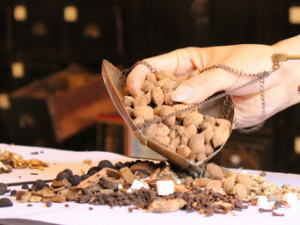 ����������ҽ�������