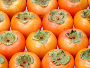 ���ӵ�ʳ�ü�ֵ ������ҩ����ʲô�� ���ӵ�ҩ�ù�Ч