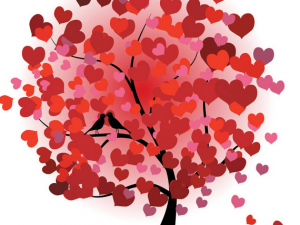 �Ҹ�����Ҷ�� �Ҹ�����Ҷ��ô�� �Ҹ�����ô��