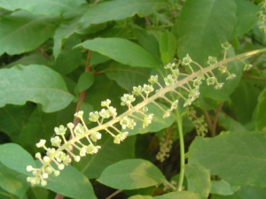 ���������ν����ļ�Ӳ����_����������Ч������