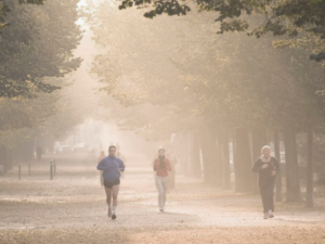 �������ʲô�� �������ʲô ��������ô����