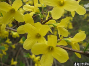 �����ܲ����þ��������� �����������Ĺ�Ч������