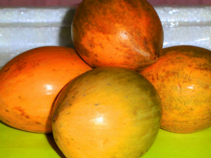 �������Ĺ�Ч������