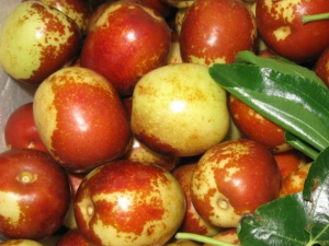 �����Ӫ����ֵ|���� �����ʳ�ý��� �����ѡ��