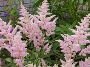 �ϻ����ӵĹ�Ч������