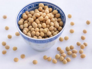 �������յ�ʳ�� ��ѡ������