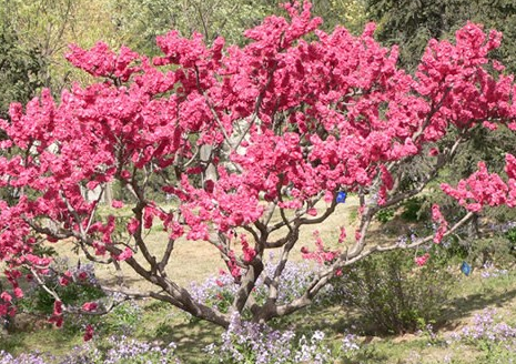 컨͵ĹЧ ŮԾڲͿ컨