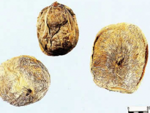 С����ð������������ �����账����ʲô