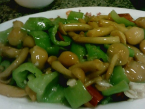 ��������� ��֬��ѹ���γԱ����