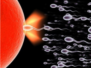 �����ľ���ʲô�� ��߾��������ķ�������Щ