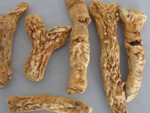 ���������򲻾��õ���������