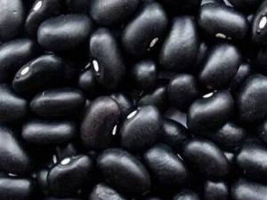 ��������ı��� �����������Ϊ ����Ӧ�ó�ʲô