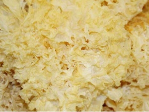 ��������������ʳ�������ഺ����