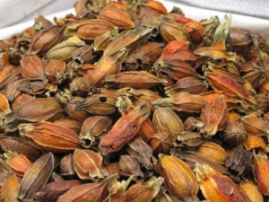 ����ɢ�Ĺ�Ч����Щ ����ɢ����