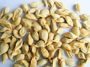 �з粻�죬Ŀ�������ô����廢��