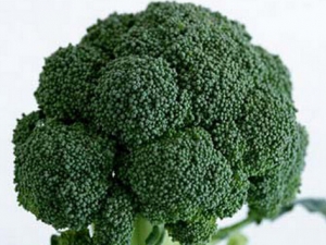 ���������� �Ի�ԭʳ�ﱣ������