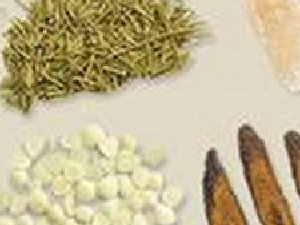 ����ʯ����������й�����