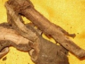 ������Ĺ�Ч������ ��ֹ̥Ѫ��������