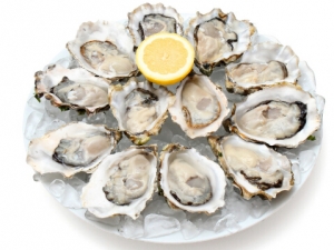 ��Щʳ�������� �������Ե���ҩʳ�Ʒ���