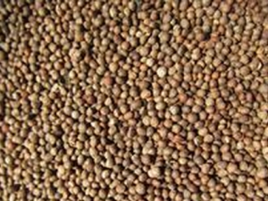 ������ľ����ֹ����̵�� ֹ����̵���Ӽ����÷�