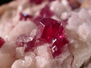 ҩϻٰͯ׷ Էϻͯ𣿡