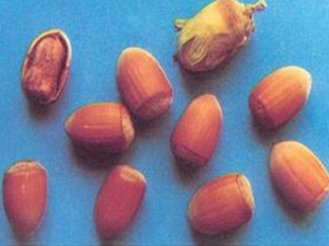 ��ҩ��ʵ�ʵĹ�Ч ��ʵ�ʵ��÷�