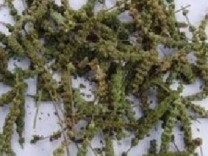 ���ư״��쳣|��Ƣ���͵Ĵ��� �Ӽ������