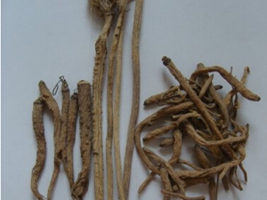 ������ҩ��������Ѫ ������ҩ���䷽