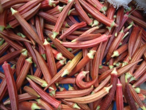 ������Ĺ�Ч������