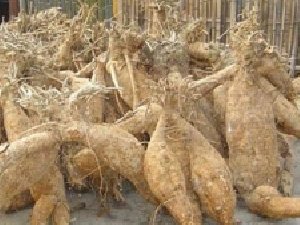 ������������Ч��������|����ڿ�|���ȿ��ԡ�