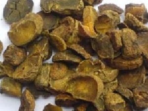 ���Ƚⶾ������Ѫ ��β����������