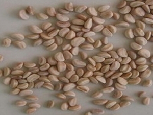 ʲô������ ������ô���� ����Ӧ�ó�ʲô