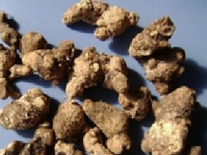 �뵡��˯���ô���ʪ���� ʪ������Ч