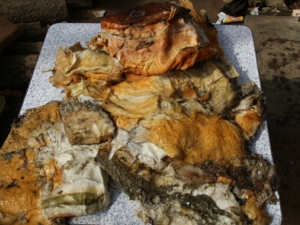 ̫����γ� ̫���ҩ�ü�ֵ ̫���ܳ���������