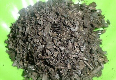 ����ͨʥɢ���� ����ͨʥɢ����