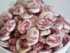 荷包豆的营养价值 荷包豆的功效与作用