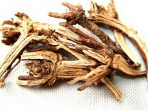 ��ζ��ңɢ���� ��ζ��ңɢ���� ��ζ��ңɢ�Ӽ�