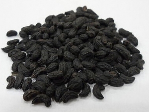 ������Ĺ�Ч������ ���¾�������������