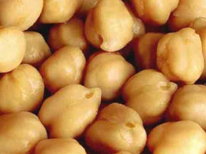 ӥ�춹�Ĺ�Ч������ ӥ�춹�ĳԷ�