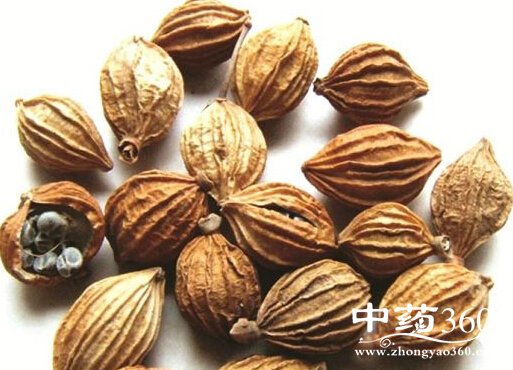 <a href='https://www.zhongyao360.com/z/sharen/' target='_blank'>ɰ</a>ĸ