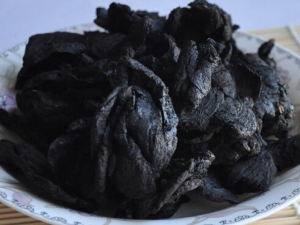 ��Ѫ����|�¾��������ô����˱���˳��