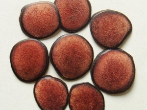 ¹��Ƭ��ʲô ¹��Ƭ�ļ��𷽷�