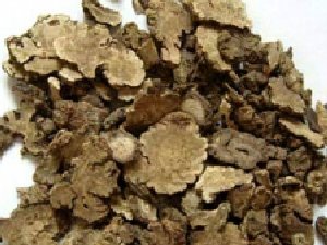 ܺ?�Ĺ�Ч������ ܺ?���ٴ�Ӧ��