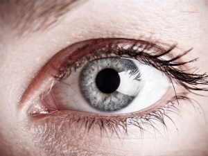 ���˵�������� ������������������