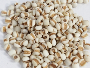 �������޲�Ӹʲ�����Ч���Ʒ�ʪ֤