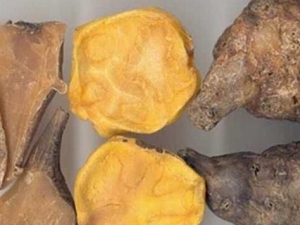 �ʲݸ��������� �ʲݸ�������Ч �ʲݸ������Ӽ�