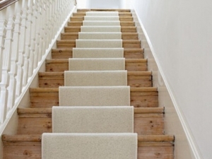 �򵥶�����������û� �˶���������