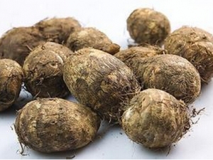 ��ͷ��Ӫ����ֵ ��ͷ��ʳ�÷���